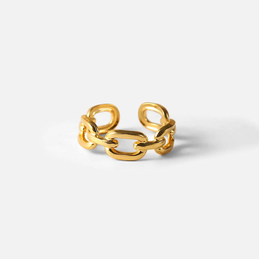 Large link ring